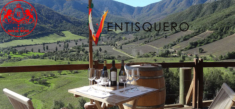 Ventisquero Wine