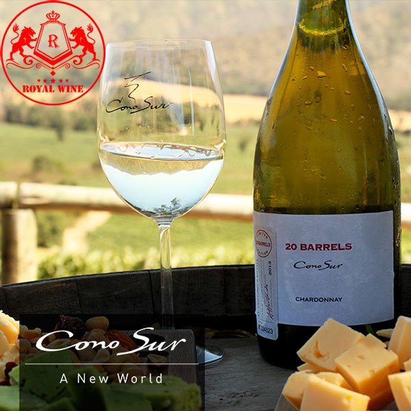 Ruou Vang Cono Sur 20 Barrel Chardonnay 1