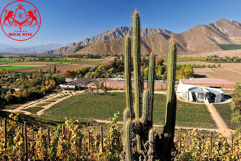 Ruou Vang Errazuriz Estate Reserva Pinot Noir 1