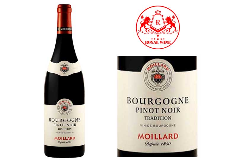Ruou Vang Moillard Bourgogne Pinot Noir1