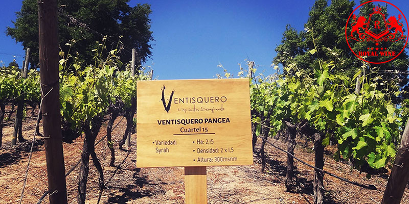 Ventisquero Winery