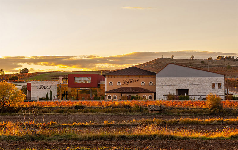 Bodegas Tinto Figuero