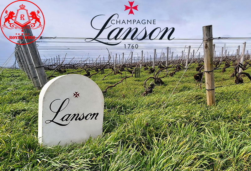 Champagne Lanson