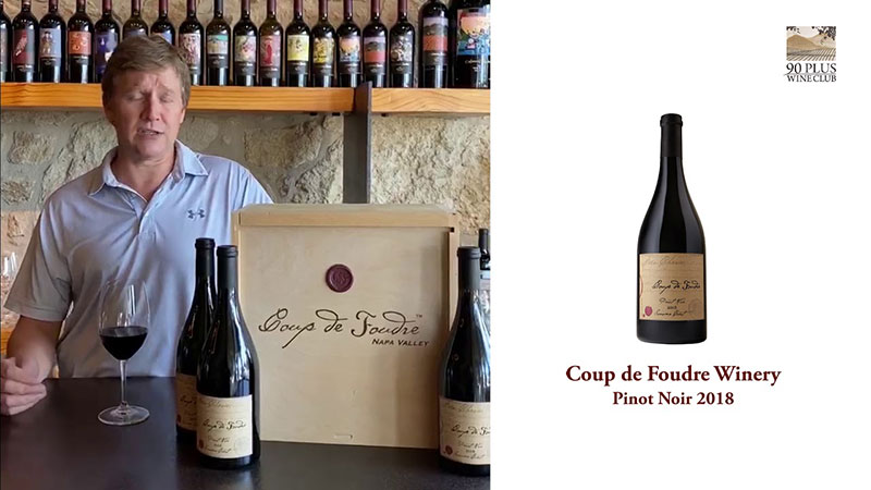 Ruou Vang Coup De Foundre Pinot Noir 1