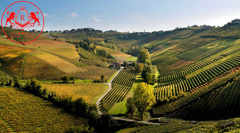 Ruou Vang Le Vigne Sandrone Barolo 2