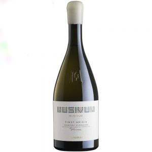Rượu Vang Musivum Pinot Grigio