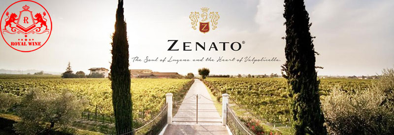 Zenato Amarone Della Valpolicella Classico