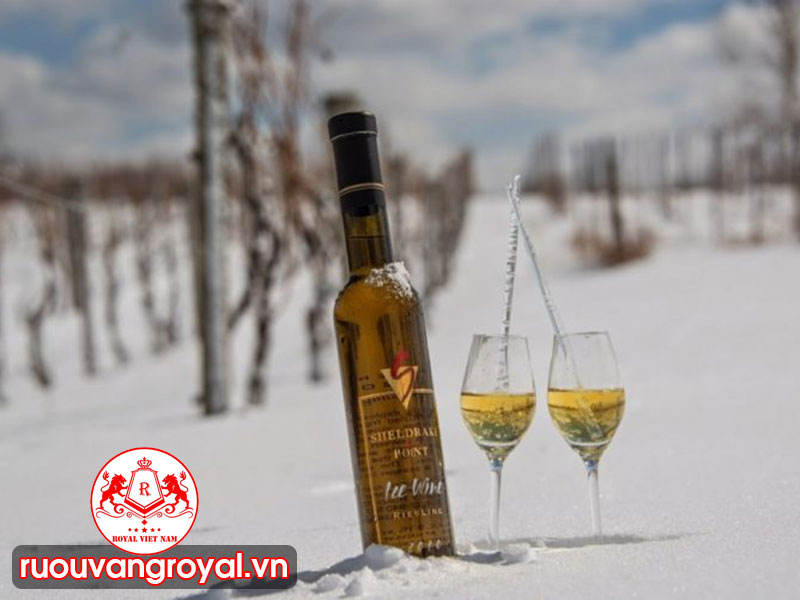 Ice Wine - Rượu Vang Tuyết
