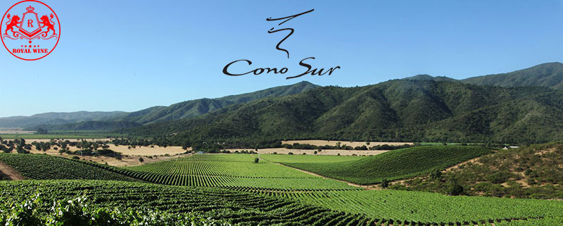 Viña Cono Sur Chile