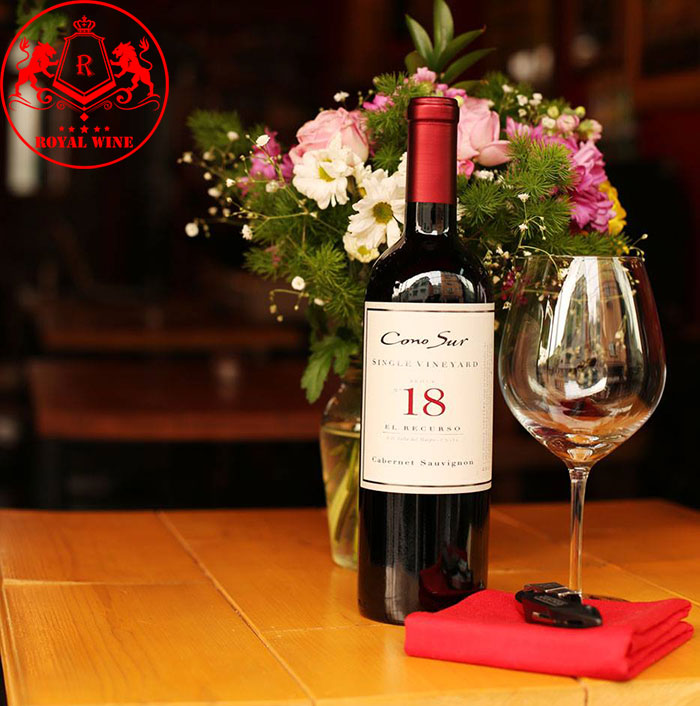 Vang đỏ Chile Cono Sur Single Vineyard El Recurso 18