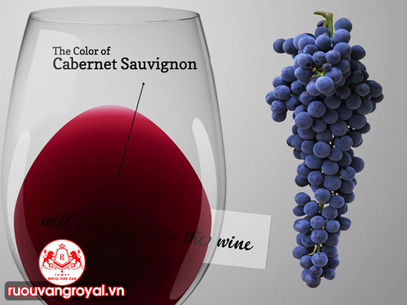 Cabernet Sauvignon 1